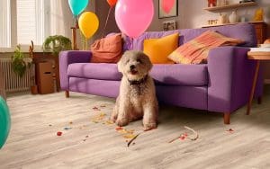 chon san go cong nghiep nao phu hop thu cung