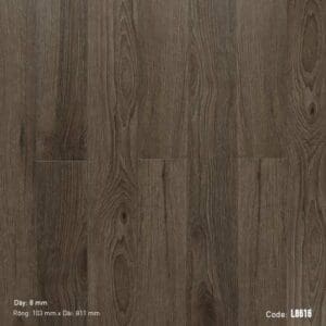 Sàn Gỗ Dream Lucky 8mm L8616