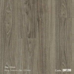 Sàn Gỗ Dream Wood 12mm DW1289