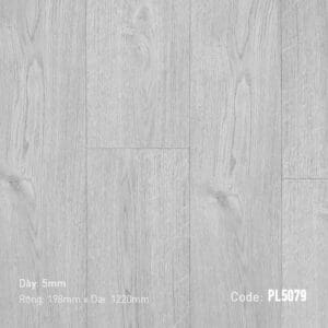 Sàn Gỗ Dream ProLux 5mm PL5079