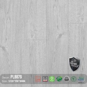 Sàn Gỗ Dream Lux 8mm PL8879