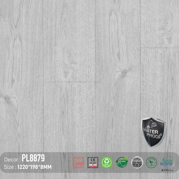 Sàn Gỗ Dream Lux 8mm PL8879